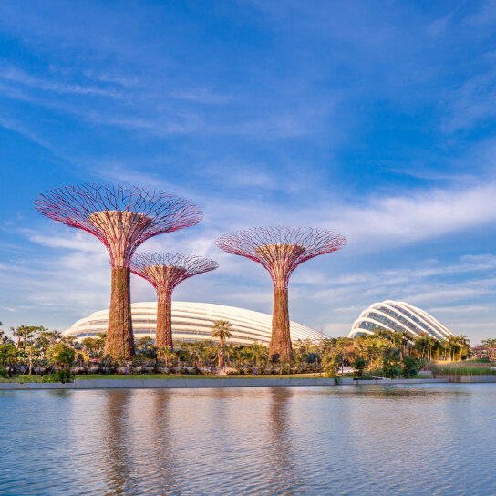 Gardens By The Bay Supertree Grove